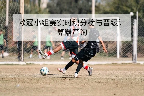 CBA本赛季首发阵容轮换速查